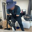 플러스클린업 강남패브릭소파청소 후기 깔끔하게 관리한 방문기