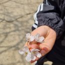 스마일부동산공인중개사사무소 이미지