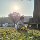 공릉관광지 | 파주 공릉 관광지 캠핑장 카라반 2박3일 가족여행 후기 예약 가격