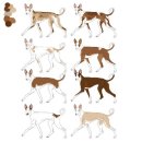 비전동물병원 이미지