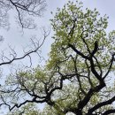 구서초등학교 Daum카페