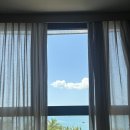 동산약국 | [나트랑 4일차 코스✈️] 7월 친구랑 나트랑여행🏖️ 보마리조트, 짜오마오, 하나약국, 디셈버호텔, 야시장까지!