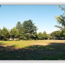 명주초등학교 이미지