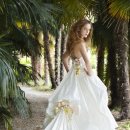 에이메드 이미지