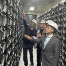 태양1 태양광발전소 이미지