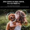 키털이 월드 이미지