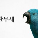 “내란무새, 저 새는 해로운 새다 : 당신의 무관심 속에 완성되는 독재” 이미지