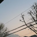 (주)클린블루 | 딸기케이크, 두바이붕어빵, 생일, 까르띠에 발롱블루, The22 남산베이커리, 쇼토 딸기케이크, 부첼리...