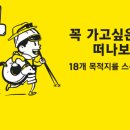 스쿠트항공 꼭 가야해 특가 이미지