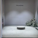 W-22 &#34;더럭스에디션&#34; 드레스샵 피팅 후기 - 1차, 2차, 최종 피팅까지 (총 9벌)
