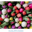 히즈윌(주) 이미지