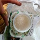 국수나무 장기점 이미지