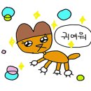 몰디브커피