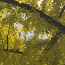 카스라이트 | 러닝 | 1:1 카스라이트 러닝코치 스테이션 후기