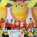 닥터 전 동물병원 이미지