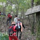 서리상반고려백자요지 이미지