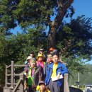 도일리 경로당 이미지