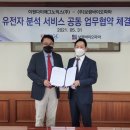 보령우가