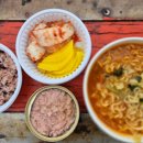 백호좌대 이미지