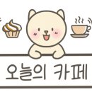 노부스테라 이미지