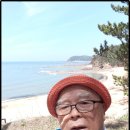 행복이의 해변길3코스 파도길 탐방(20190616일) 일기 이미지