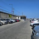 남대천고향의강 중앙 마늘화장실 | 강릉여행 중앙시장 성남시장 닭강정