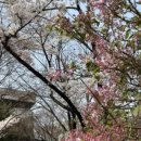 천지면옥앞 이미지