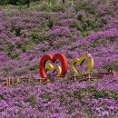 지리산허브벨리 이미지