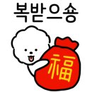 미자애견 네이버블로그