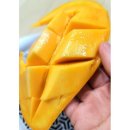 망고 - 광양시 사동로 56 | 망고
