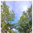 치유의 숲 방문자센터 이미지