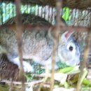 광일농장 이미지