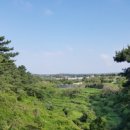 월평하원로 이미지