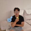여기꿀템 | 테무깡 꿀템 추천템 후기 현실 리뷰(1)