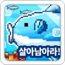 개복치마켓
