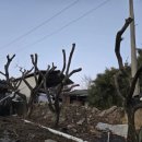 나무마당 이미지