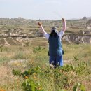 터키벨리 이미지