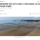 "아빠 살려줘" 문자 남기고 태안서 사라진 20대女..10시간만에 숨진 채 발견 이미지