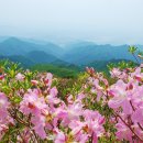 5월 15일 일요당일 - 블랙야크 100대 명산 소백산 비로봉 + 국망봉 산행 안내 - 신청하기 이미지