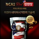 네이처시가