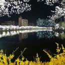 연화지 이미지