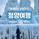 만한곳, 당일치기 국내여행 알프스마을 얼음분수축제 포토존~천장호 출렁다리~청양맛집 구기자막국수 후기