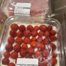 스쿱(SCOOP) | 캐나다 코스트코 딸기 스쿱 케이크 추천 솔직 후기 🍓 Strawberry Scoop Cake