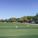 (주식회사)리드덴탈 | 용왕산 애견놀이터 + 바잇미 간식 덴탈껌 추천 + 털로덮인친구들 펫파크 목동 애견운동장 후기