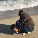 승석 | 저는 찐따색히입니다