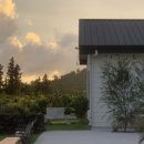 청수리오즈네 이미지