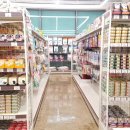 개꿈꾸는 고양이 이미지