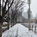 모어온 헤어 본점 윤승주 디자이너 중단발 커트 후기