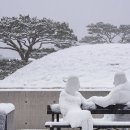 뮤지엄산 티스토리