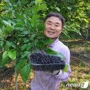 미원농장